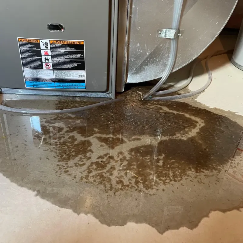 Appliance Leak Cleanup in Mart, TX